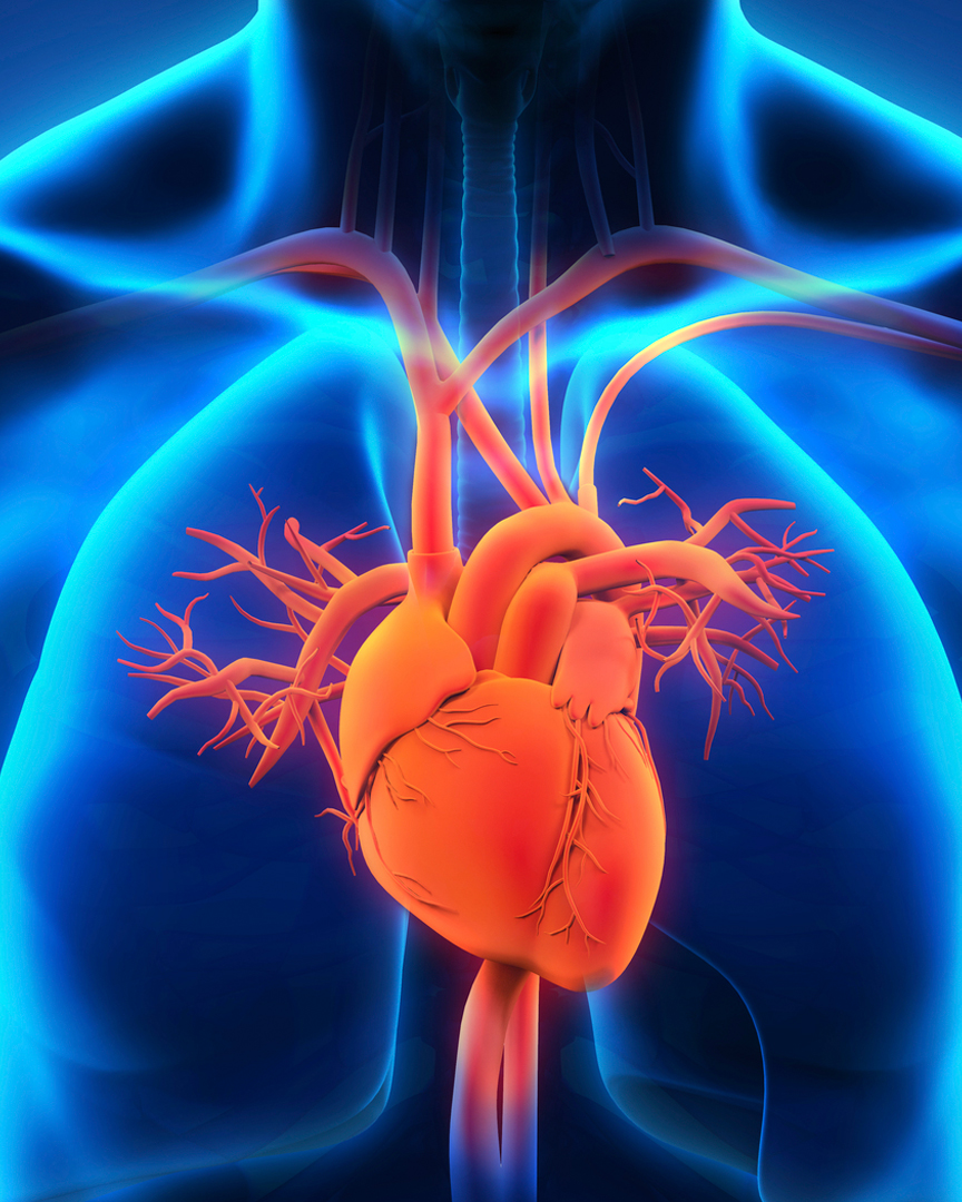 علاج EECP في الهند